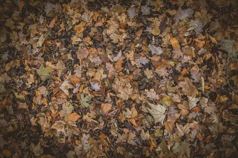 Earthy Tones